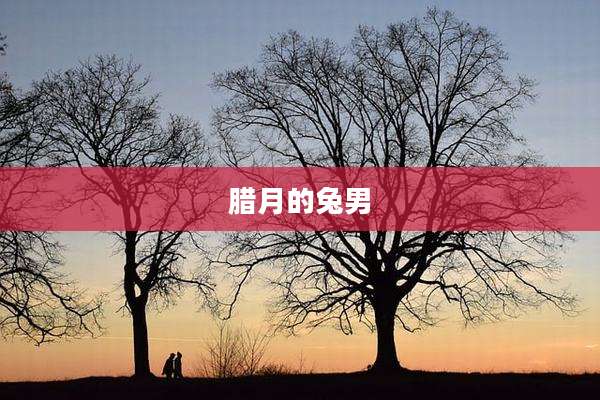 腊月的兔男