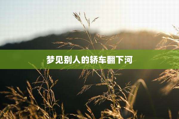 梦见别人的轿车翻下河