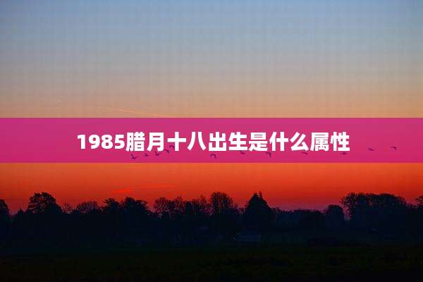 1985腊月十八出生是什么属性