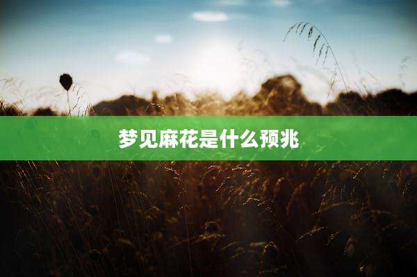 梦见麻花是什么预兆