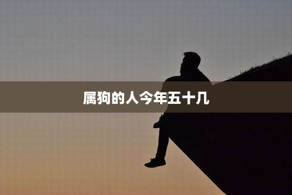 属狗的人今年五十几