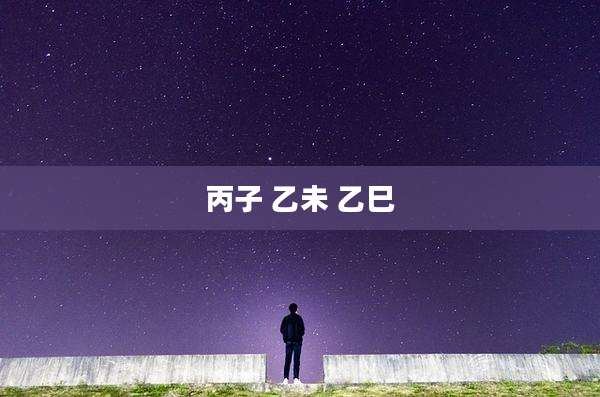 丙子 乙未 乙巳
