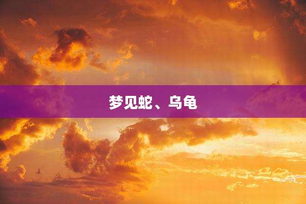 梦见蛇、乌龟
