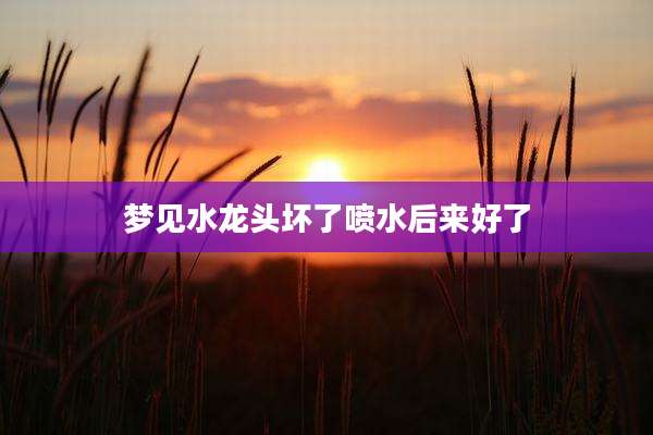 梦见水龙头坏了喷水后来好了