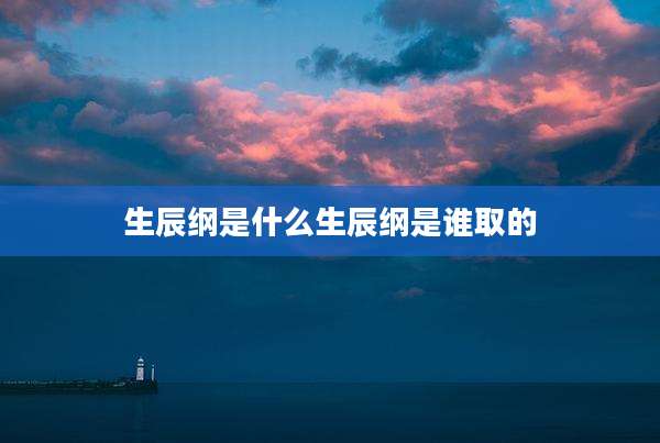 生辰纲是什么生辰纲是谁取的