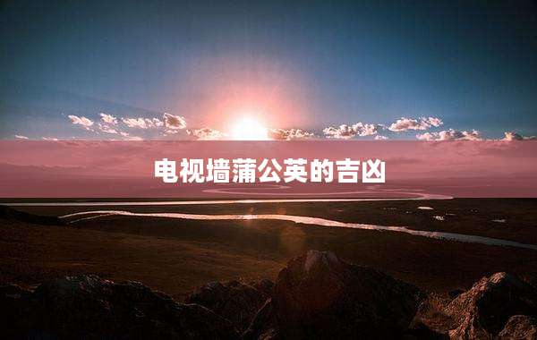 电视墙蒲公英的吉凶