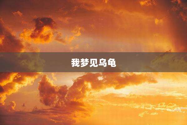 我梦见乌龟
