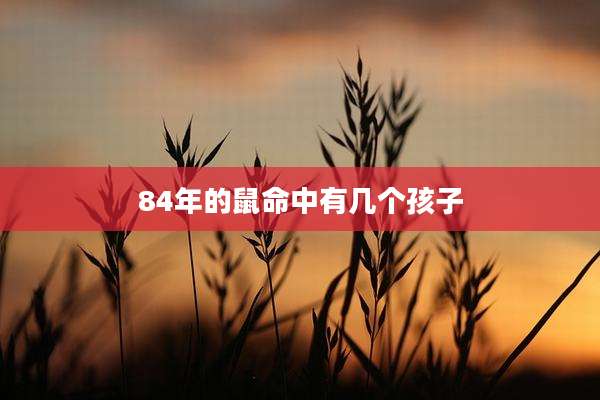 84年的鼠命中有几个孩子