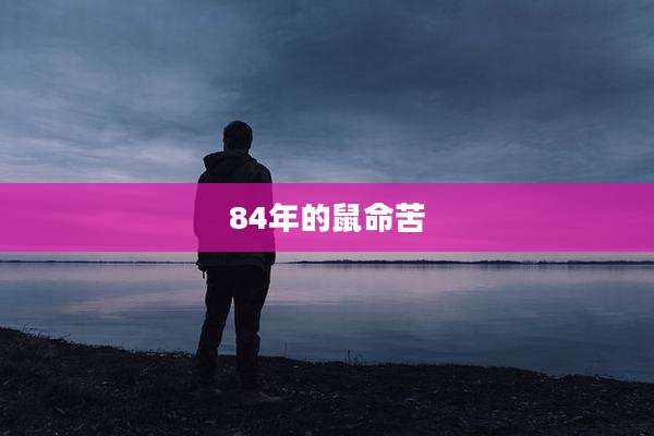 84年的鼠命苦