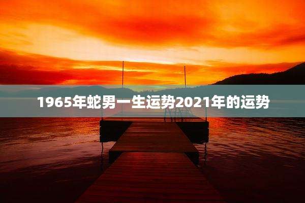 1965年蛇男一生运势2021年的运势