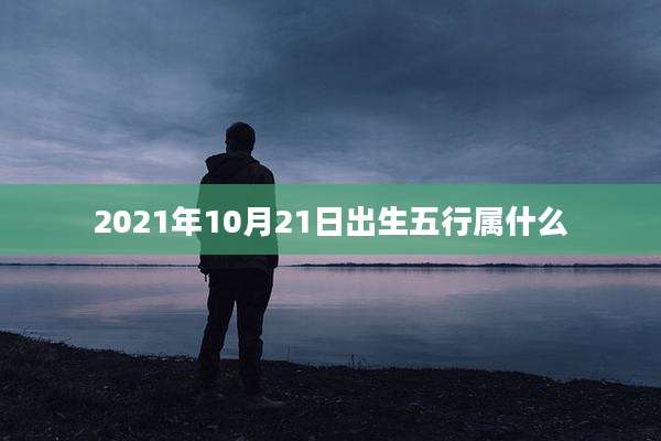2021年10月21日出生五行属什么