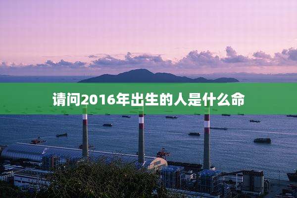 请问2016年出生的人是什么命