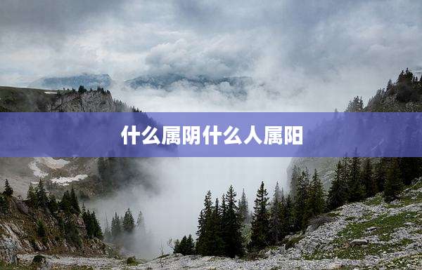 什么属阴什么人属阳