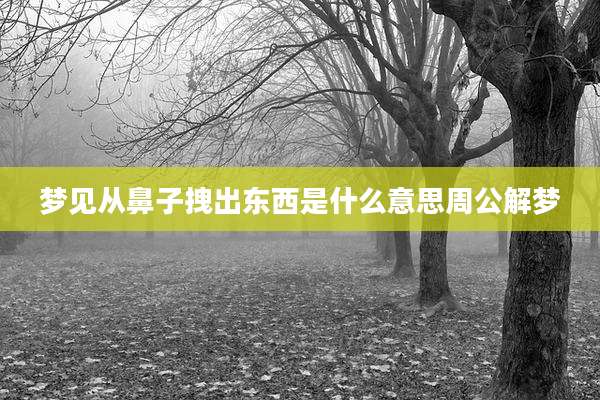 梦见从鼻子拽出东西是什么意思周公解梦