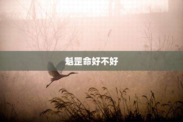 魁罡命好不好