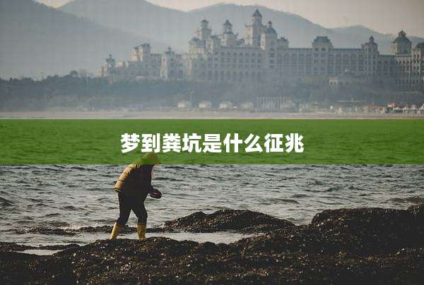 梦到粪坑是什么征兆
