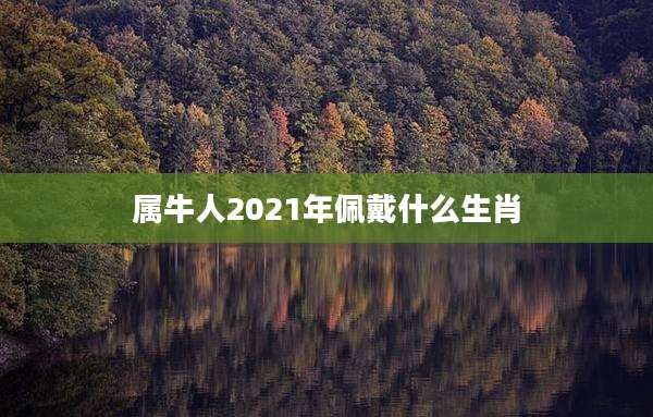 属牛人2021年佩戴什么生肖