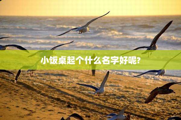 小饭桌起个什么名字好呢?