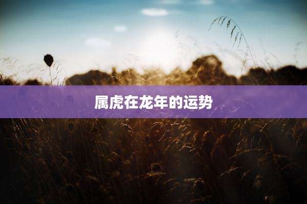 属虎在龙年的运势