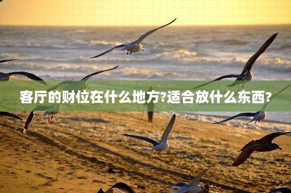客厅的财位在什么地方?适合放什么东西?