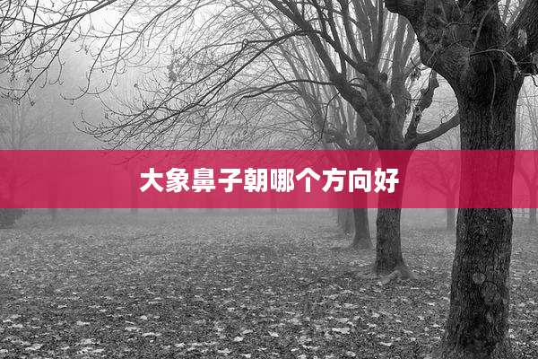 大象鼻子朝哪个方向好