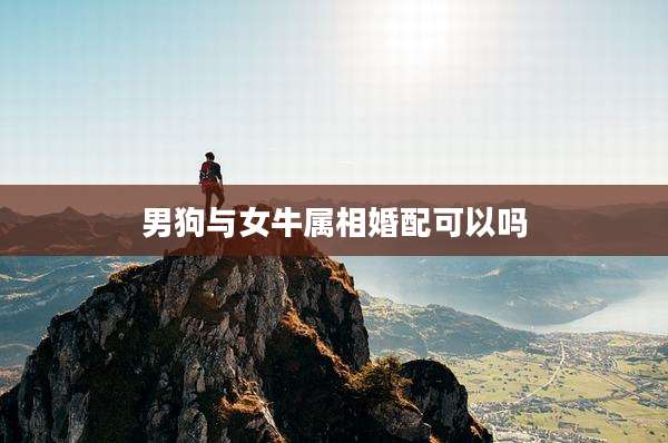 男狗与女牛属相婚配可以吗