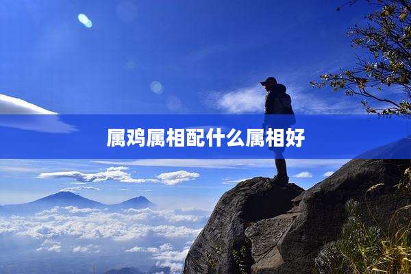 属鸡属相配什么属相好
