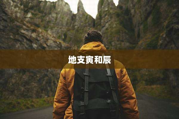 地支寅和辰