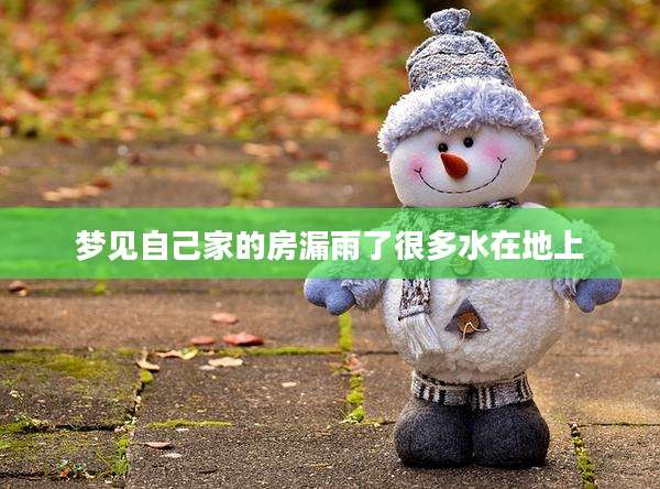 梦见自己家的房漏雨了很多水在地上