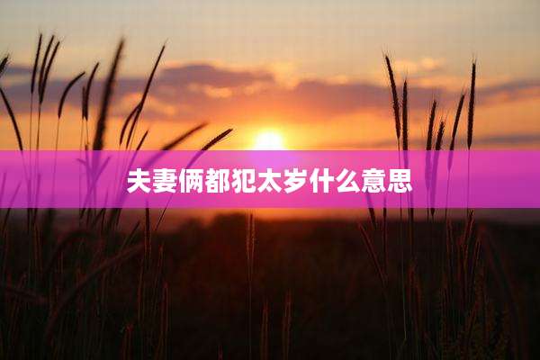 夫妻俩都犯太岁什么意思