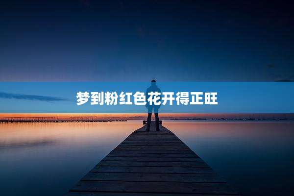 梦到粉红色花开得正旺