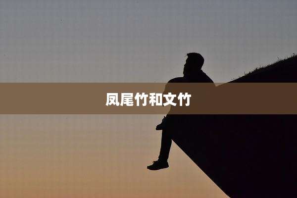 凤尾竹和文竹
