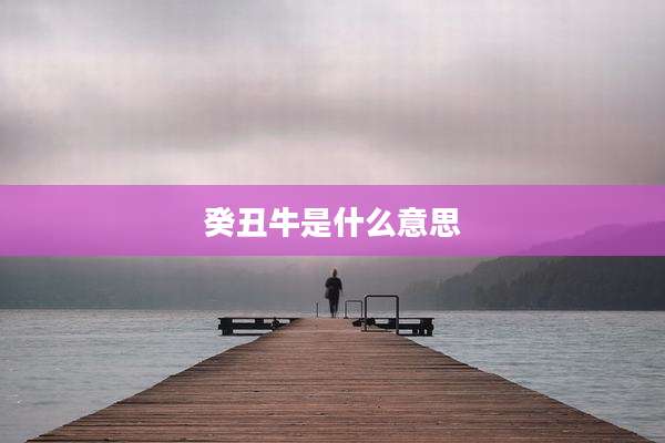 癸丑牛是什么意思