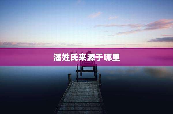 潘姓氏来源于哪里