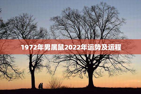 1972年男属鼠2022年运势及运程