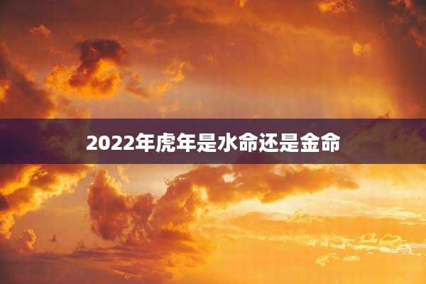 2022年虎年是水命还是金命