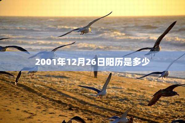 2001年12月26日阳历是多少