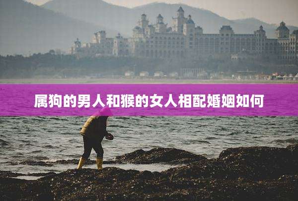 属狗的男人和猴的女人相配婚姻如何
