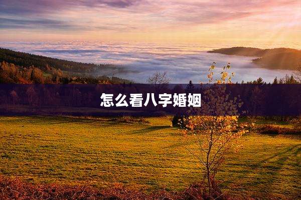 怎么看八字婚姻