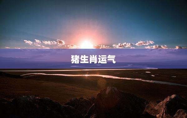 猪生肖运气