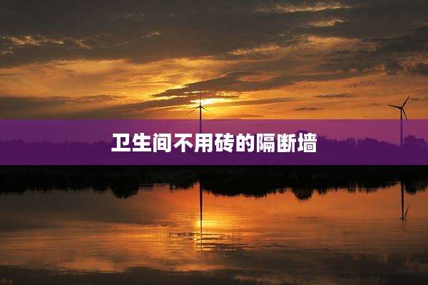 卫生间不用砖的隔断墙