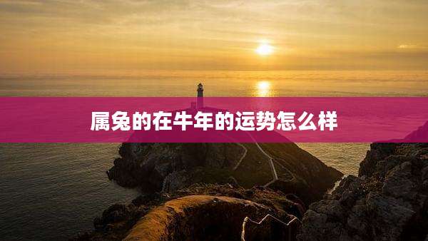 属兔的在牛年的运势怎么样
