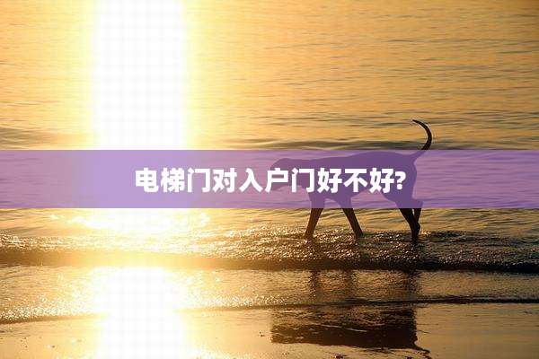 电梯门对入户门好不好?