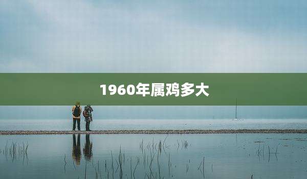 1960年属鸡多大