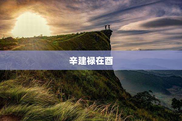 辛建禄在酉