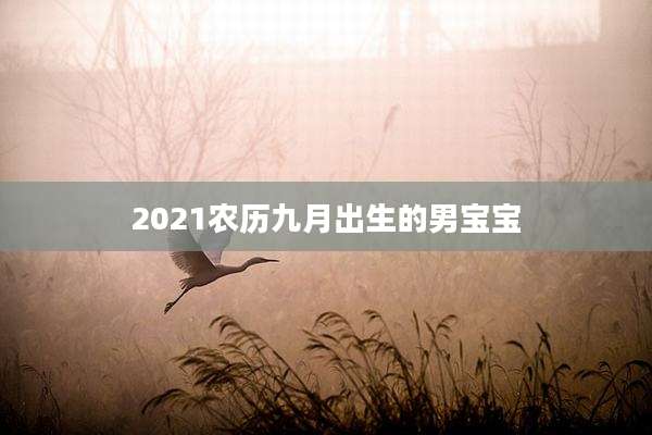 2021农历九月出生的男宝宝