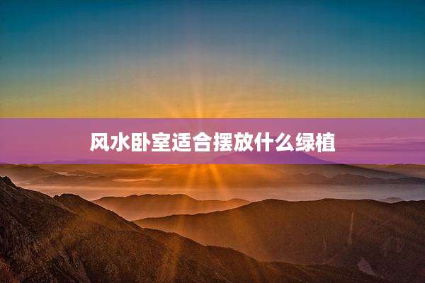 风水卧室适合摆放什么绿植
