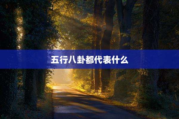 五行八卦都代表什么