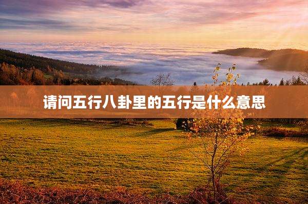 请问五行八卦里的五行是什么意思