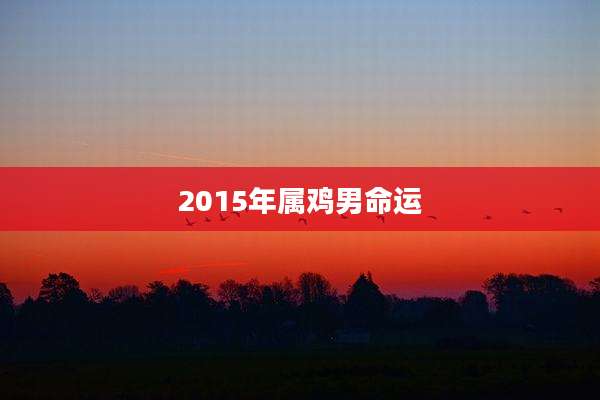 2015年属鸡男命运